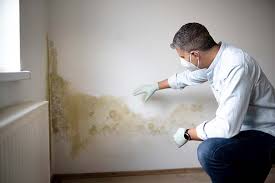 Why You Should Choose Our Mold Remediation Services in South Coventry, CT